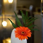 Logis La Lentillere - Restaurant Cote Parc מלון