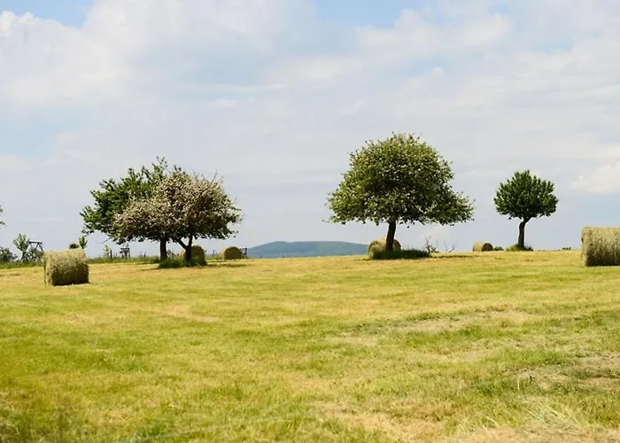 Hotel Logis La Lentillere - Restaurant Cote Parc Lalacelle