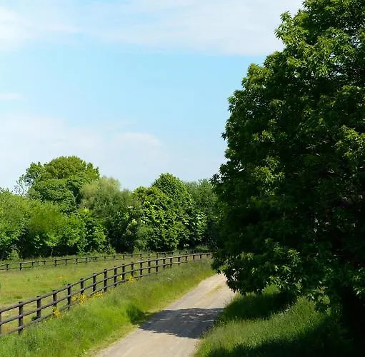 Hotel Logis La Lentillere - Restaurant Cote Parc Lalacelle