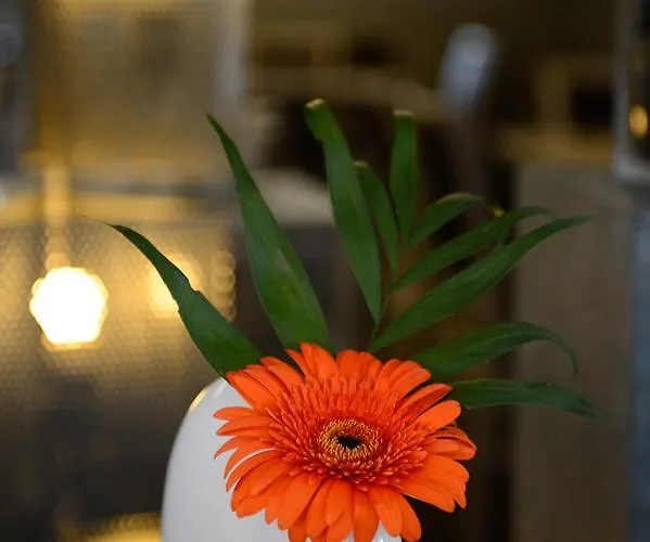 Logis La Lentillere - Restaurant Cote Parc Hotel